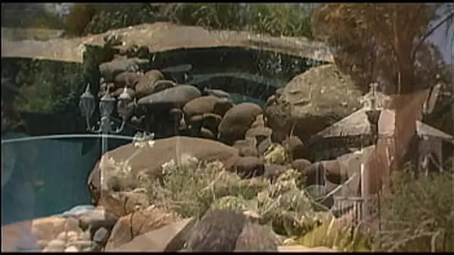 Lena Sucks Cock🌭 Outside Then Gets A Facial Cumshot Ending