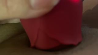 Using my rose-pink toy for that very first time