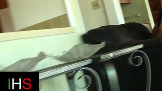 Hot MILF Devours Ass🍑 Action & Screams Pleasure