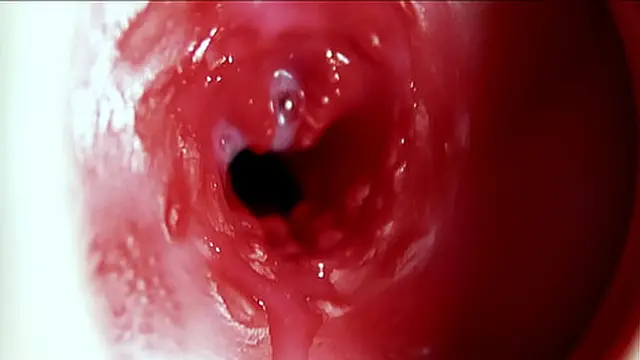 Big orgasm inside the anus! Fantastic moaning orgasm and a lot of sperm!