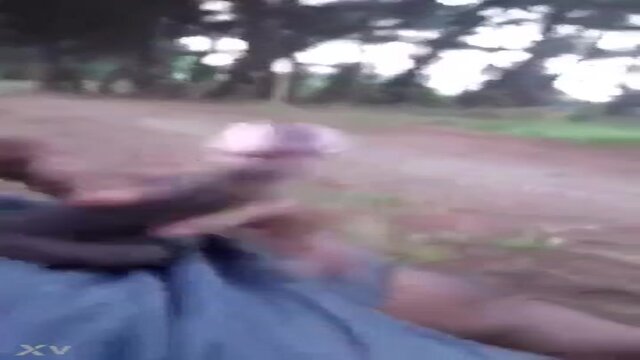 Public Creaming Display